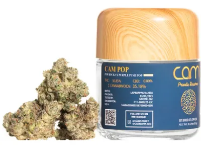 Premium Hybrid Flower STIIIZY Australia